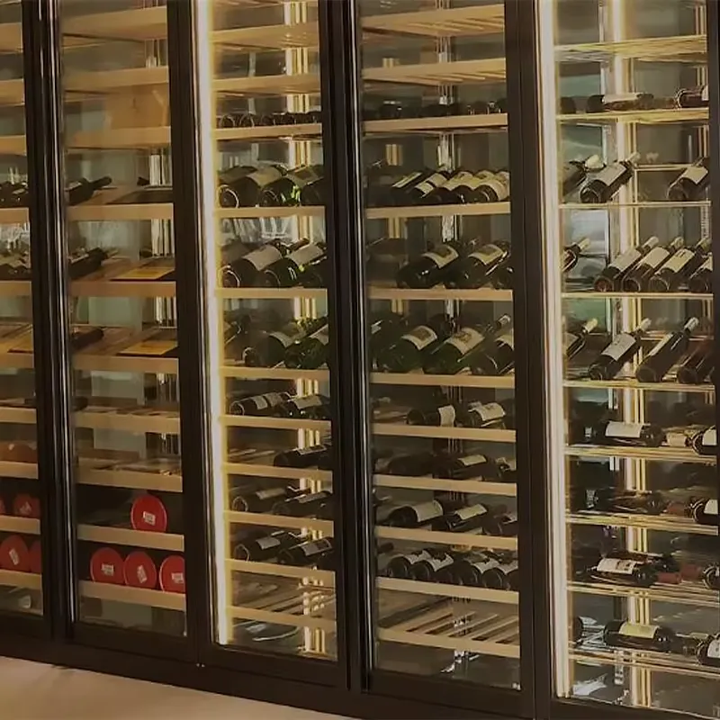 Nevera Eléctrica para Vinos de - Wine Beer Fridge Cabinet reseña y precio